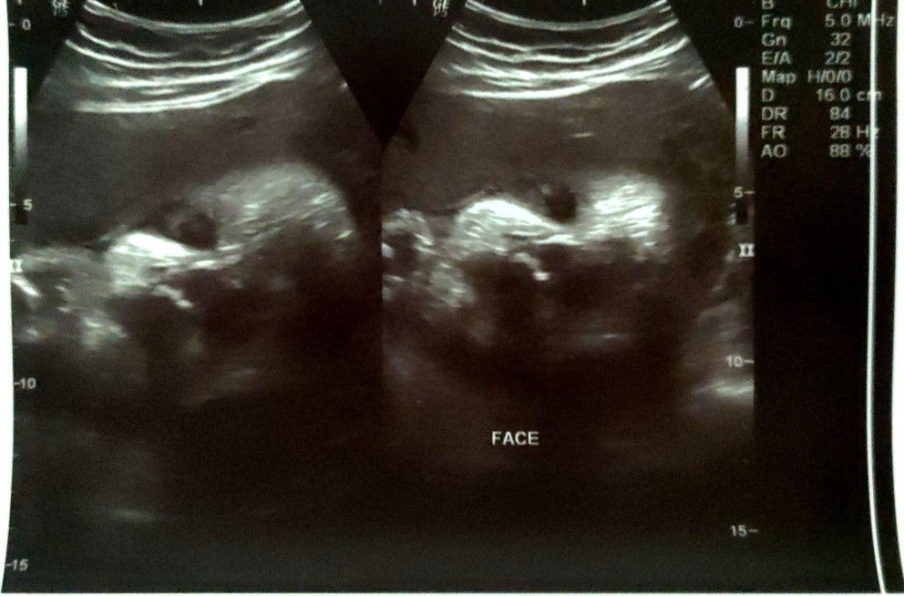 Darejoy Hollero profile icon