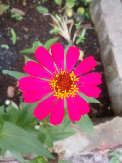 Tika Laili Ismi profile icon