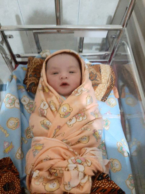 babyrosizaka profile icon