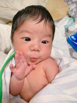 mahmutd arifin profile icon