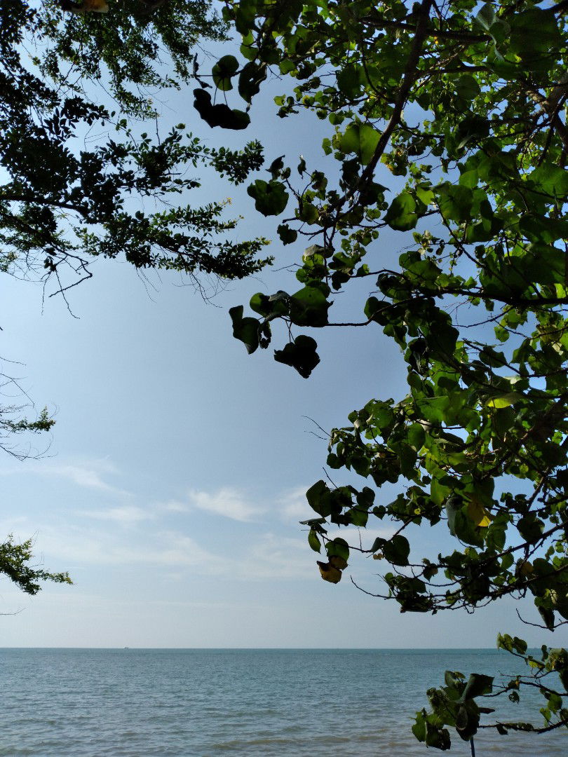 Mar'atus profile icon