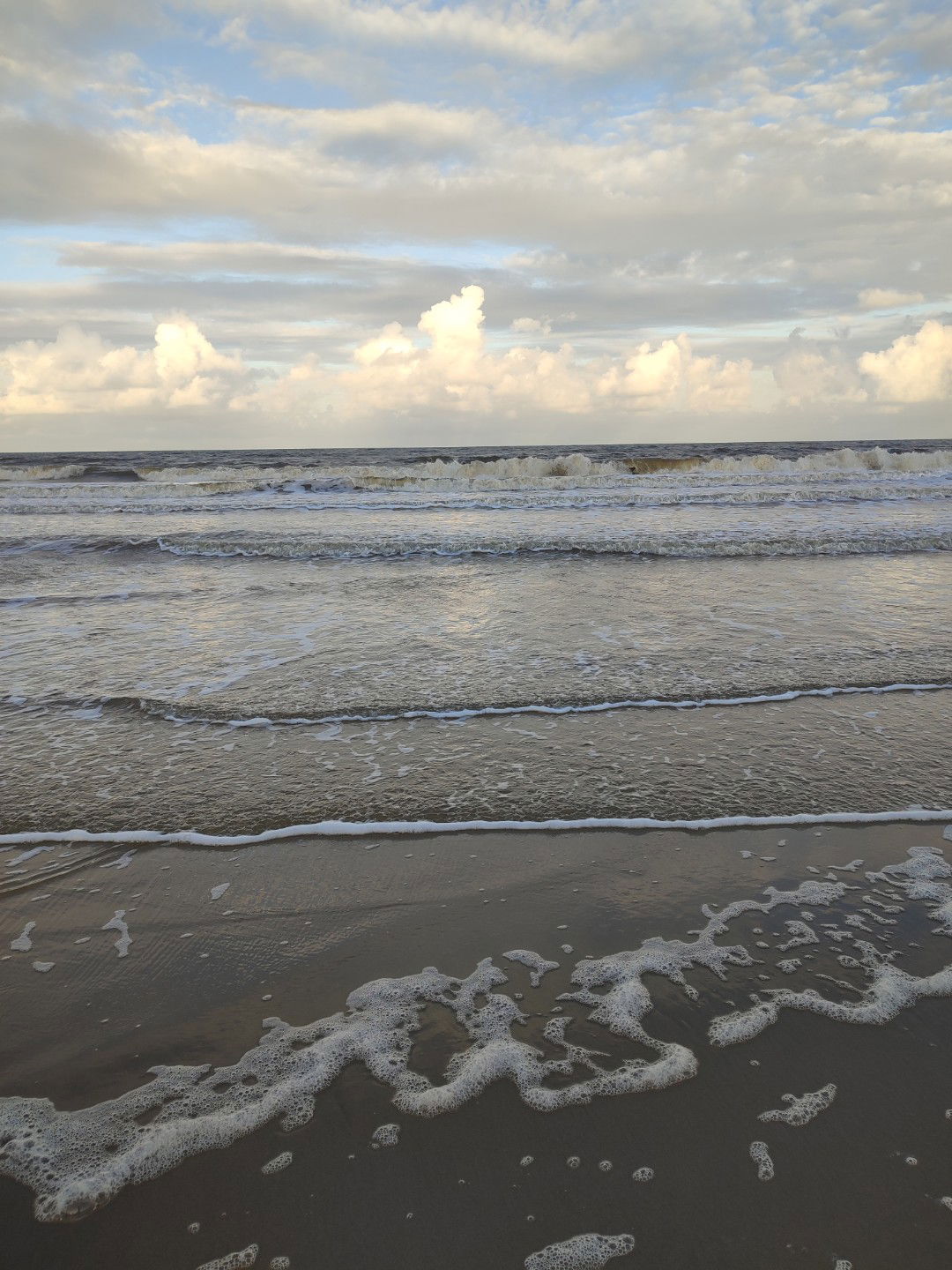 Faizah Aminuddin profile icon