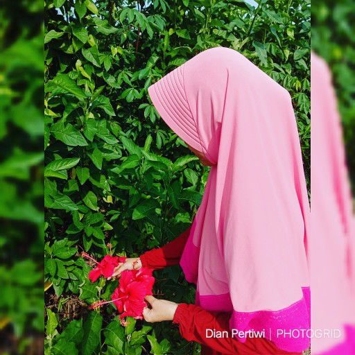 Dian Pertiwi profile icon