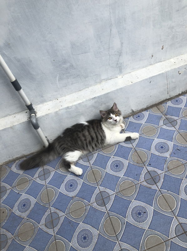 utin harlina profile icon