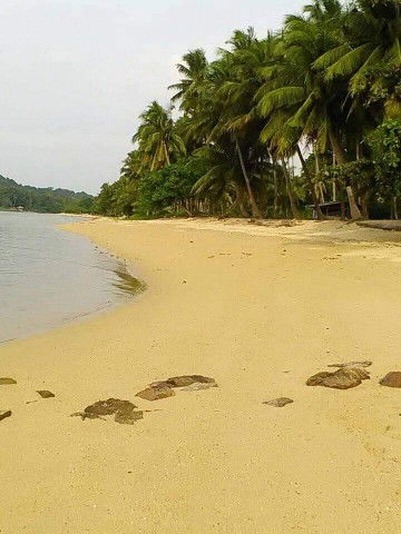 Tina Azzam profile icon