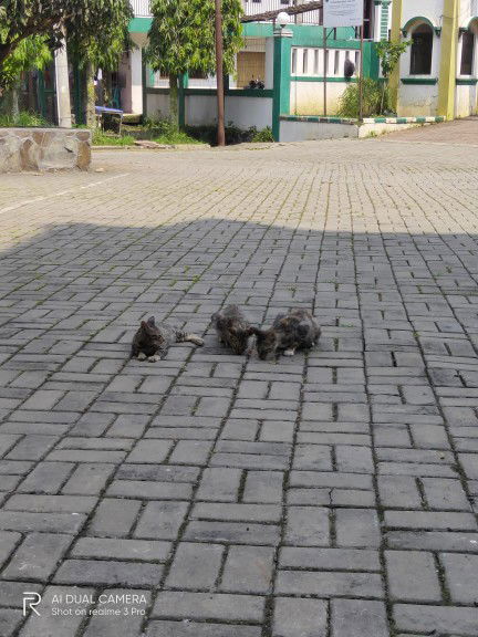 bunda aya profile icon