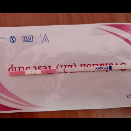 ทดสอบไข่ตก