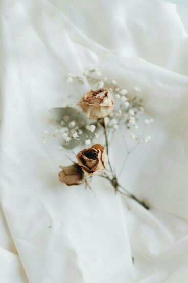 Febriani profile icon