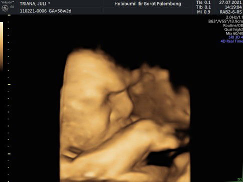 triana dewi profile icon