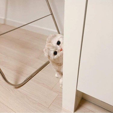 Gig Gig profile icon