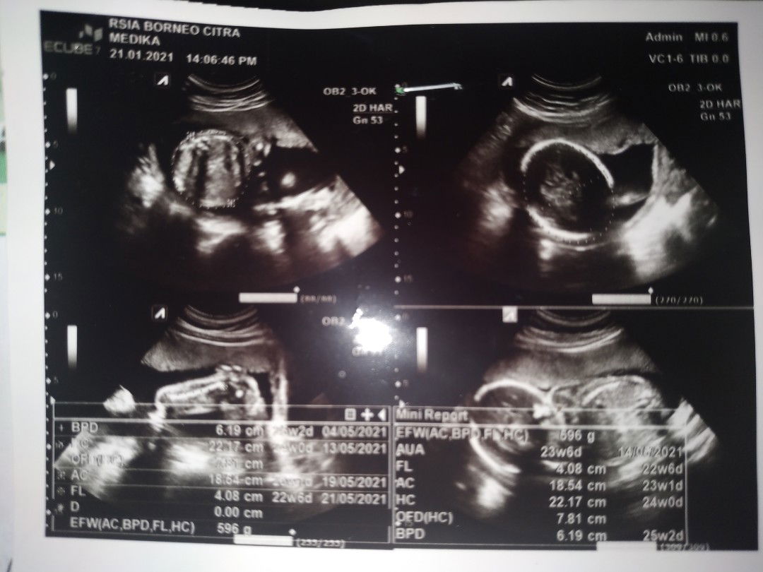 huda safitri profile icon