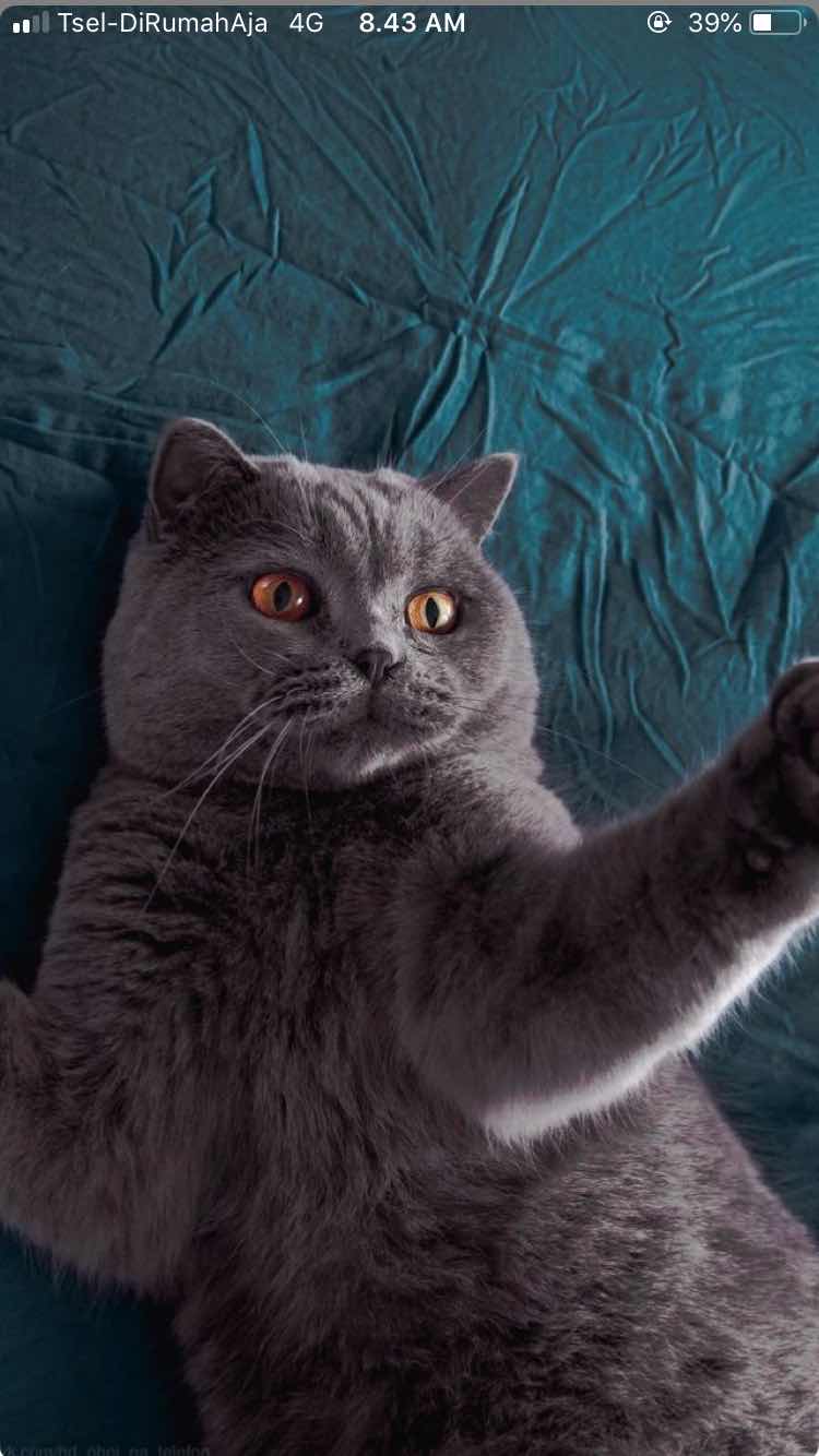 Hariana Hamri profile icon