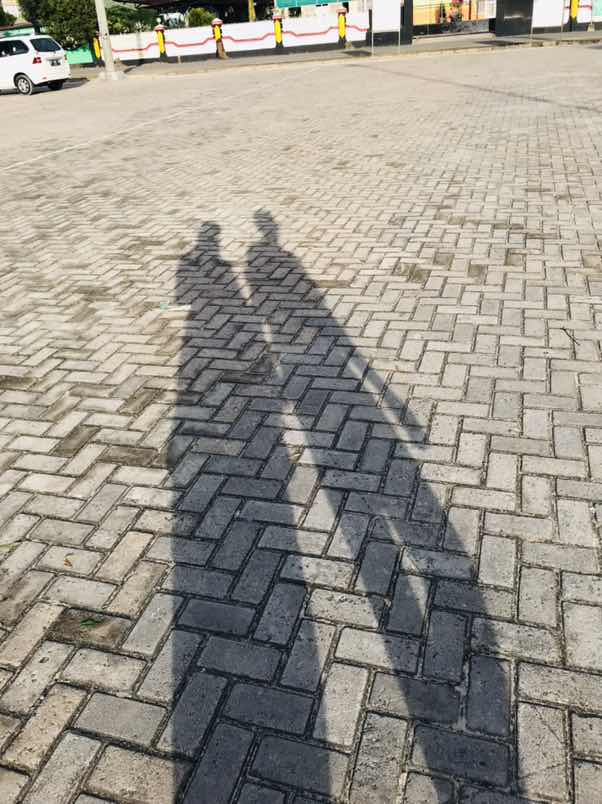 LilyFiannur profile icon