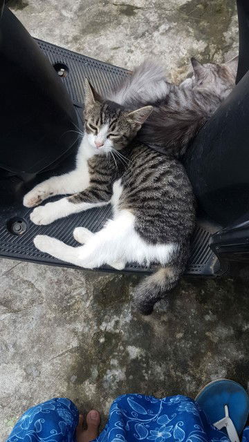 Leni Karina profile icon