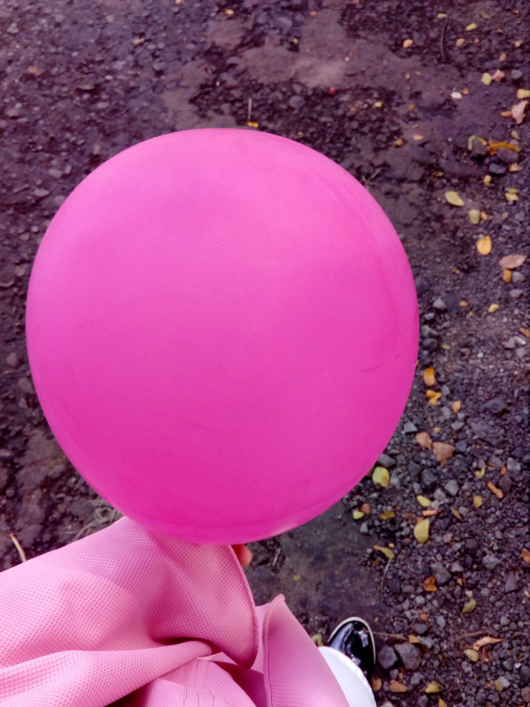 rikarakaa profile icon