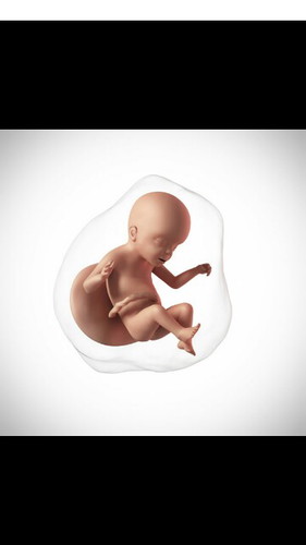 maaf jika sampai saat ini kami.tidak berarti apapun "ayah"