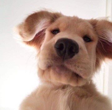 Kerida Charoendi profile icon