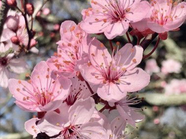 Ayudyhh__ profile icon