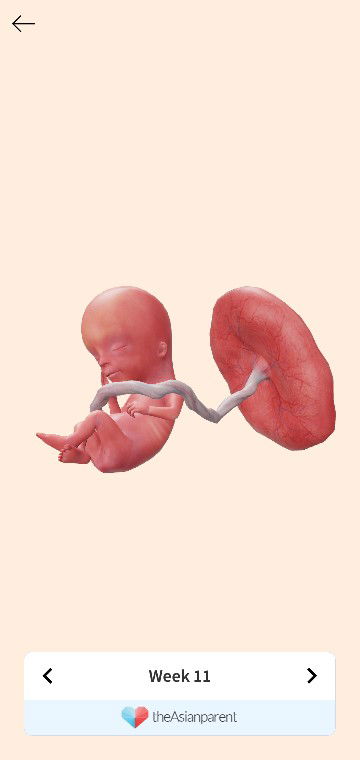 Novita Dwianggraeni profile icon