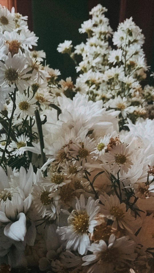 siti nurohmah profile icon