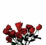 Nidia Rizal profile icon