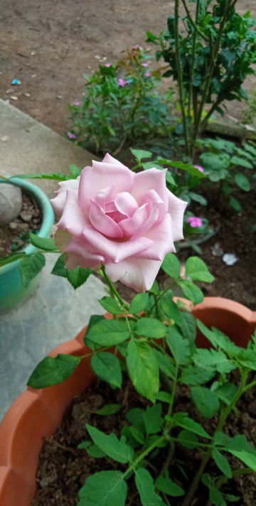 Yuyun Fatimah profile icon