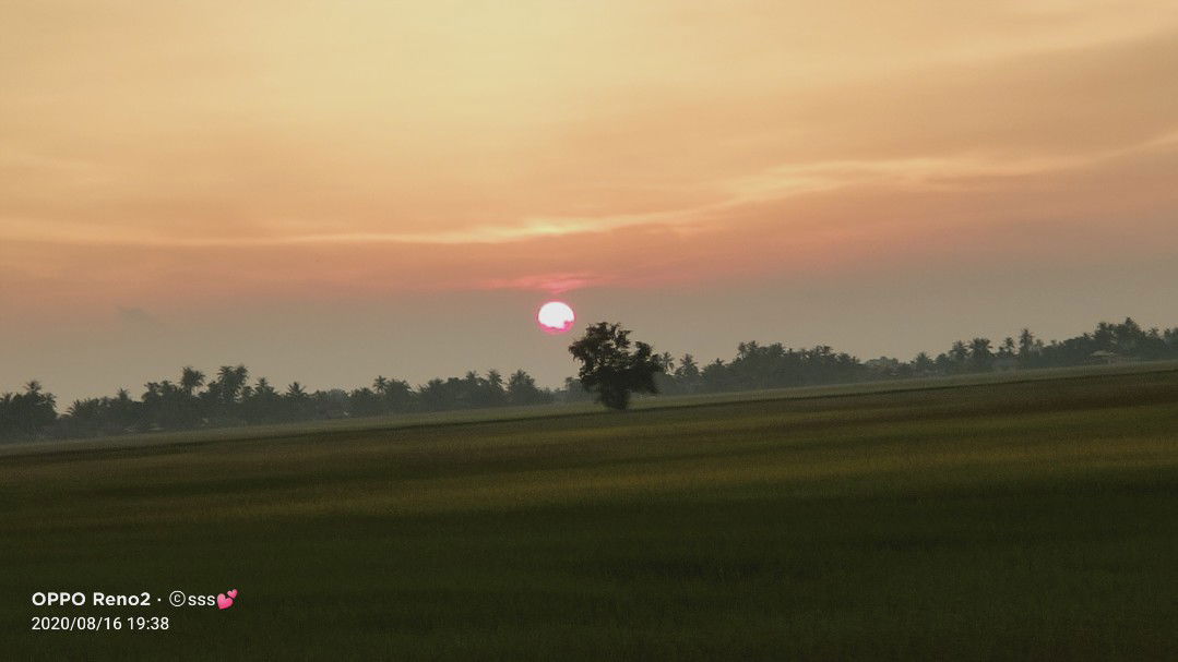 syamimi syazwani profile icon