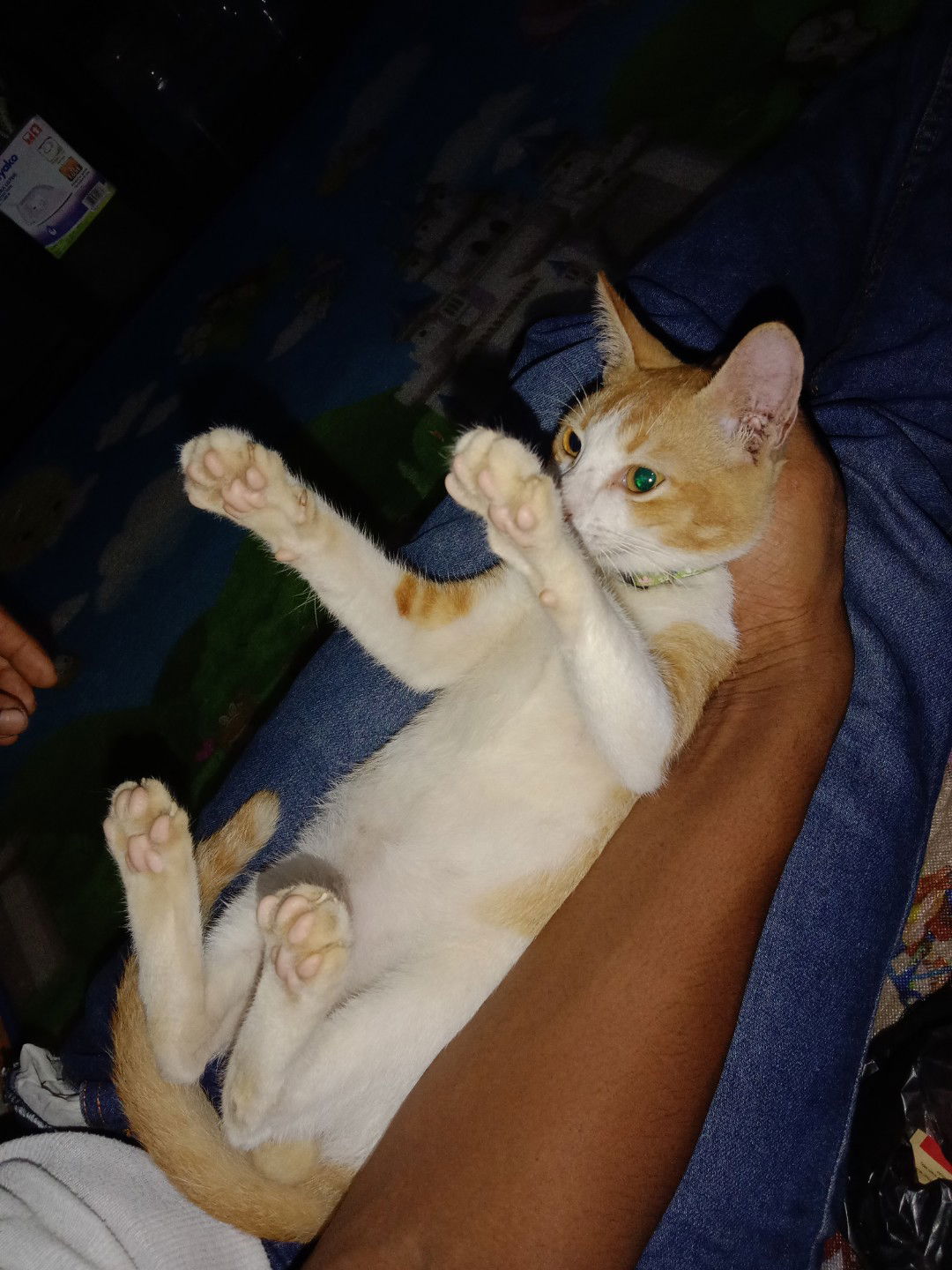 Nuraini profile icon