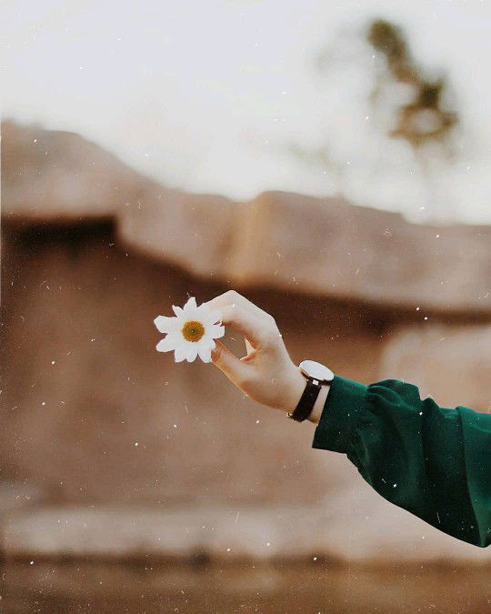 Merina Sari profile icon