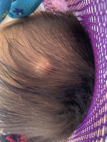 มีลูกบ้านไหนเป็นบ้าง