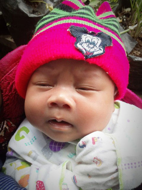 Anita Ta profile icon