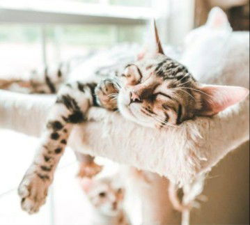 milki_milki profile icon