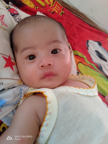 seputar baby