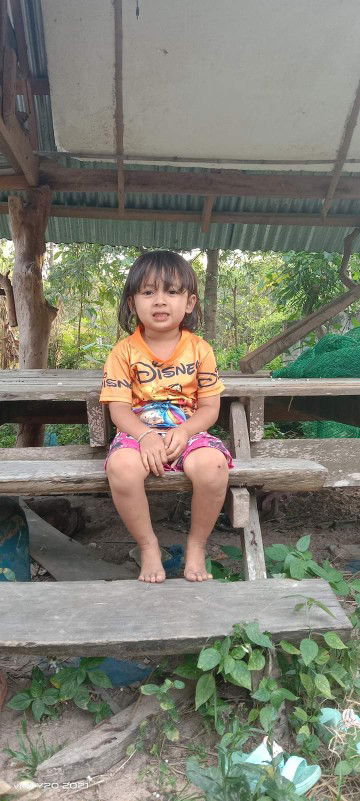 pa wipa profile icon