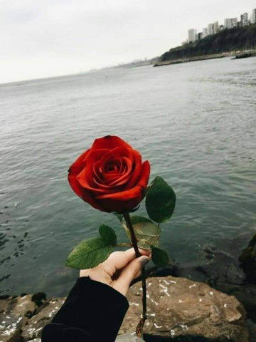 ?Queen? profile icon