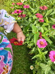 Rita Putri Lestari profile icon