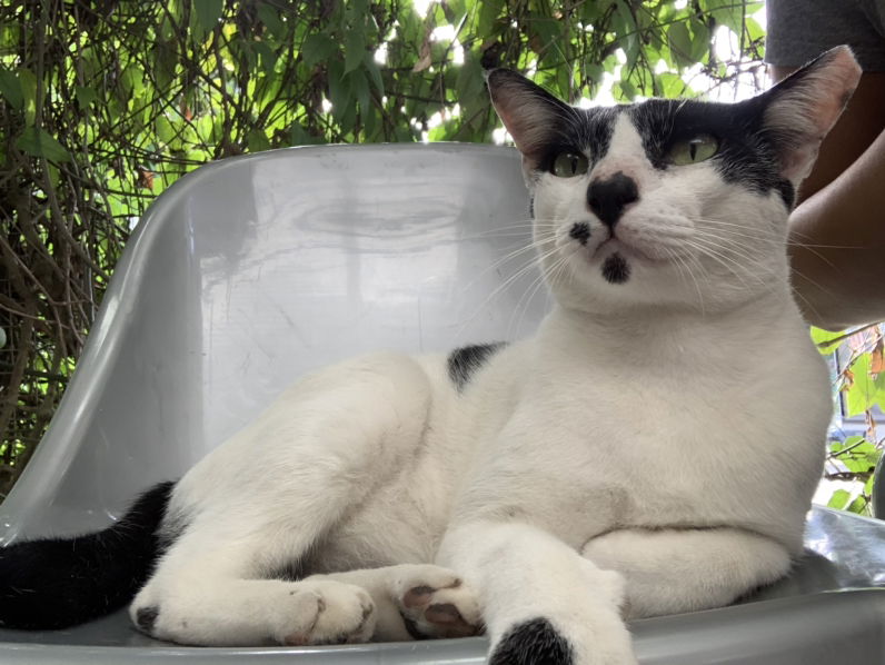 Shahila profile icon