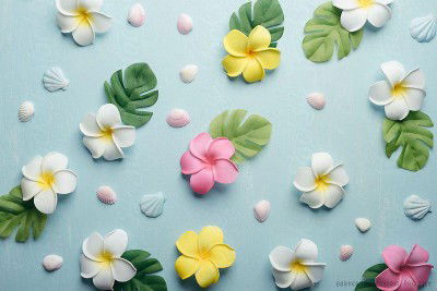 Ani 2793 Berkah profile icon