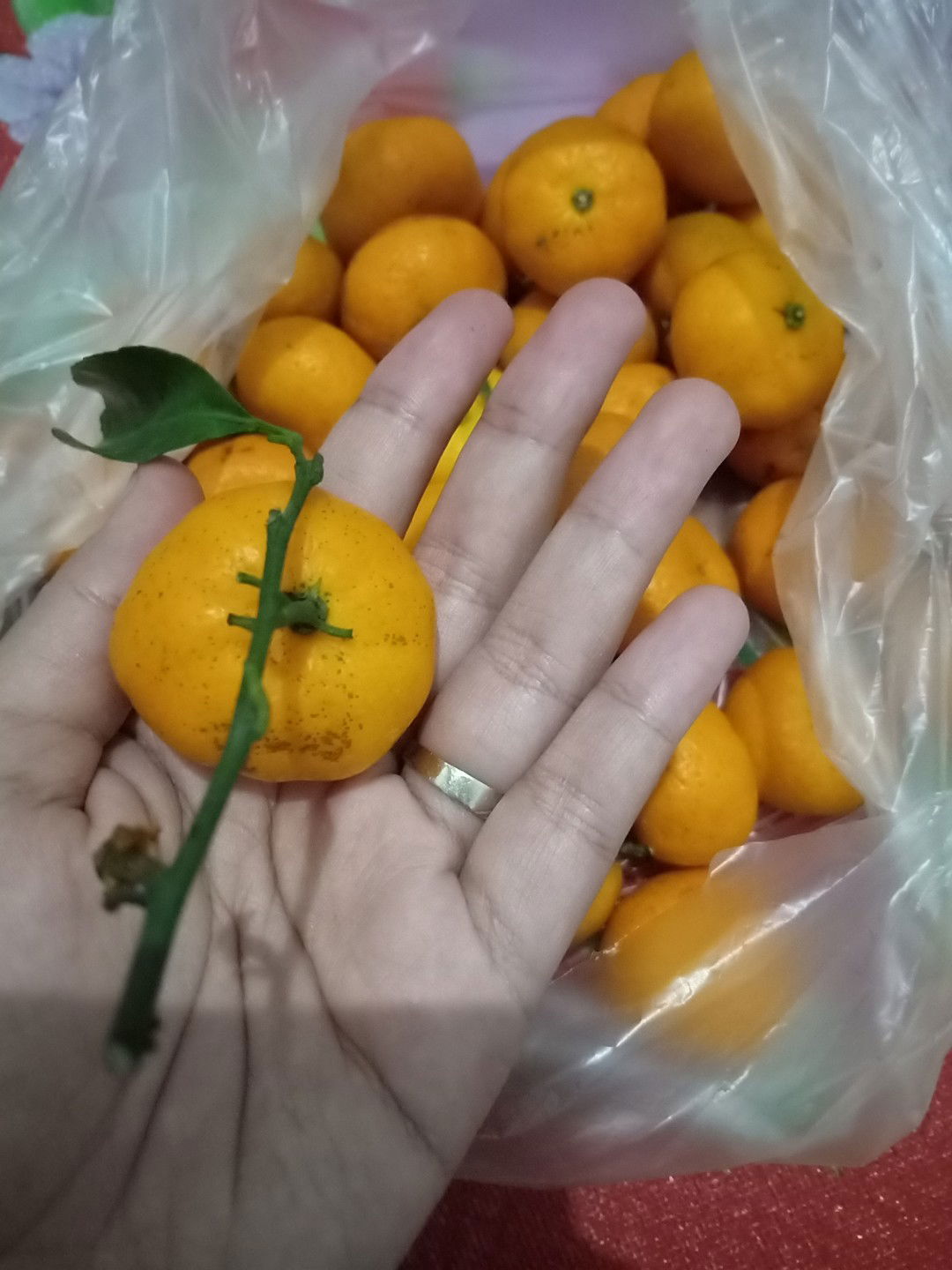 Silvia Dewi profile icon