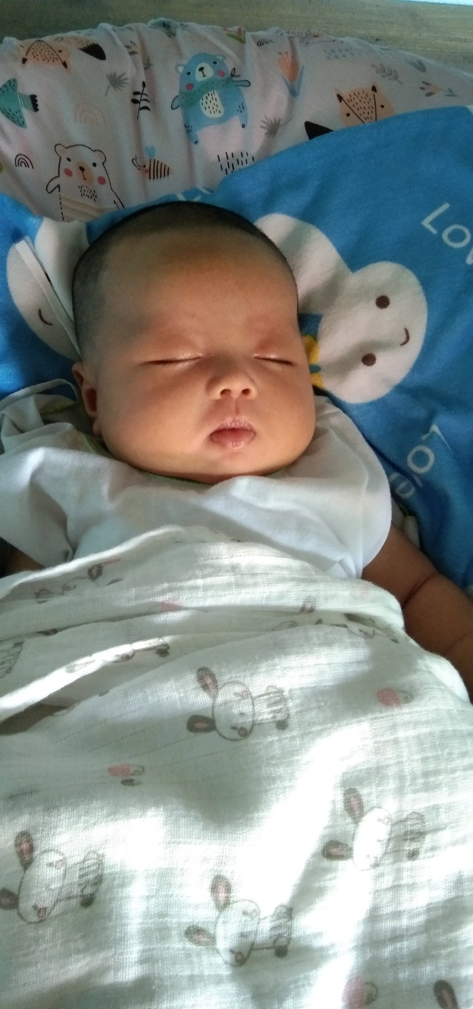 ชัญญา profile icon