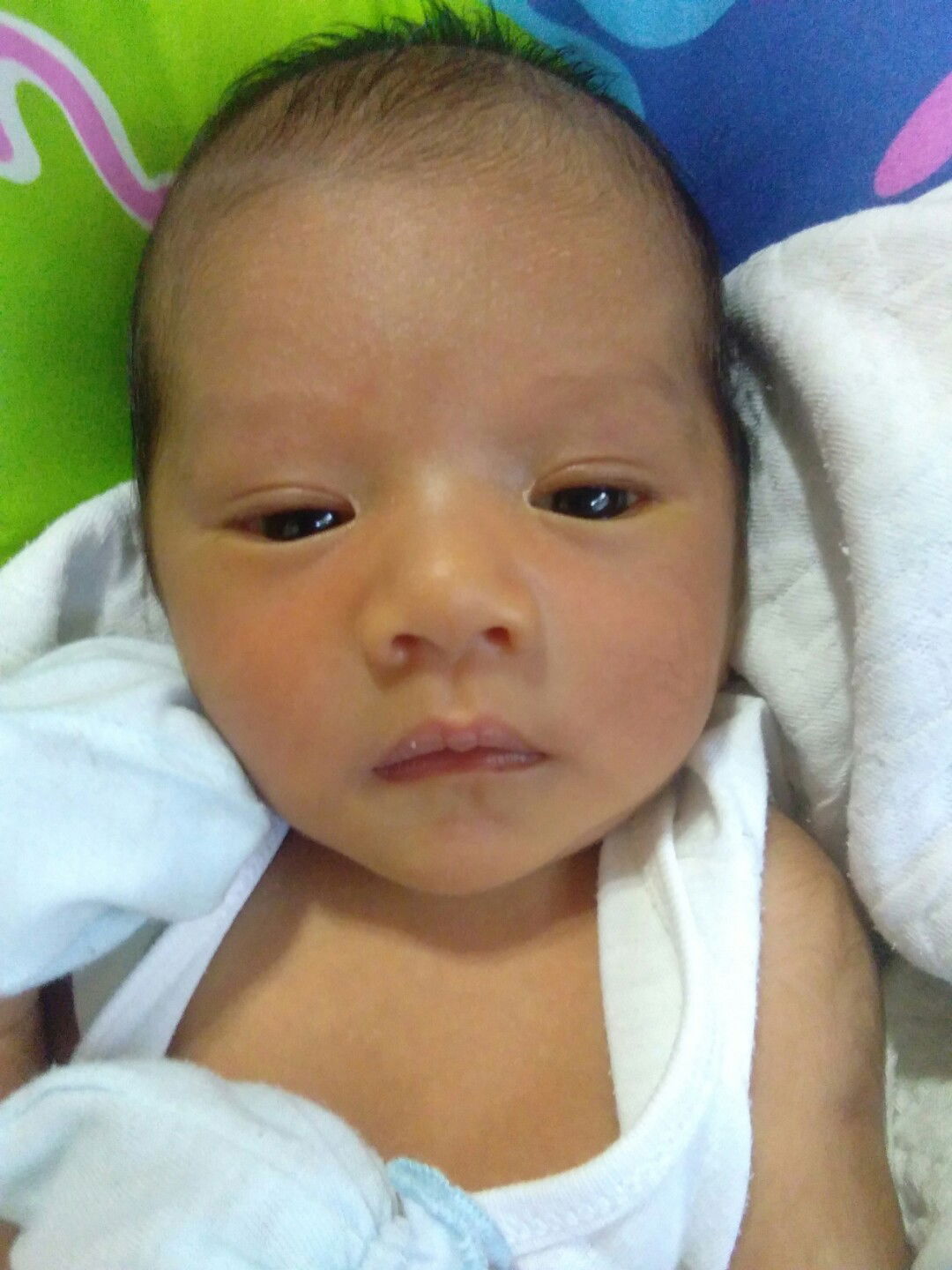 Crysalline Arca profile icon