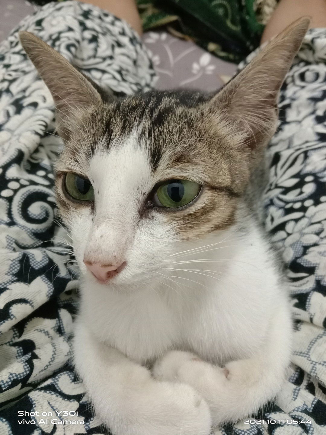 siti masitah profile icon