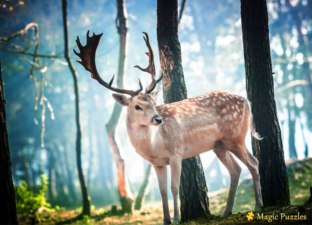 Fatin Atiqah profile icon