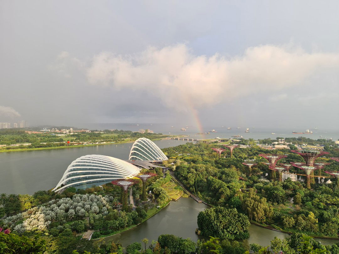 Ling Jie profile icon