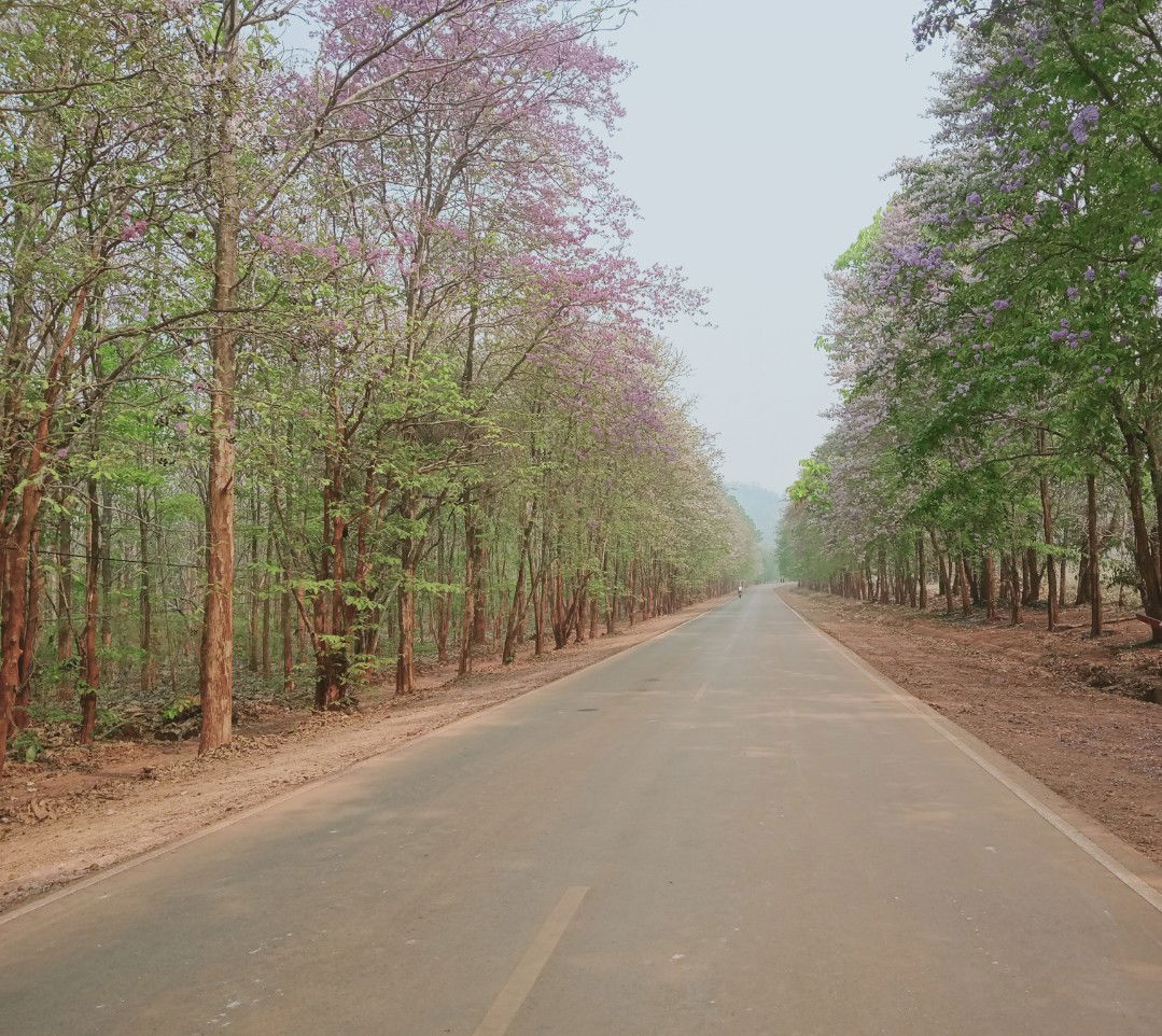 พิม profile icon