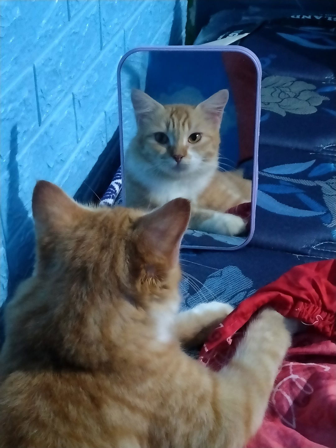 icaicaaa profile icon