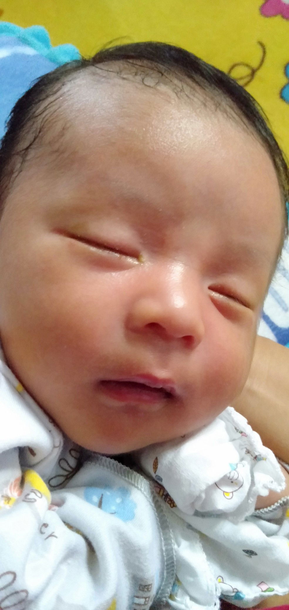 Septi Ayu Wulandari profile icon