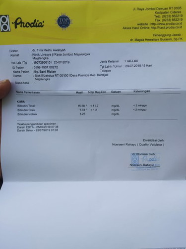 bayi kuning