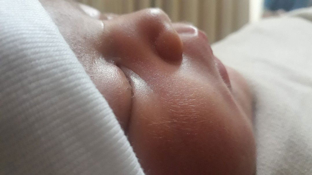 Anggun Shyntia profile icon