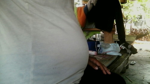 คลอกพฤษจิกายน